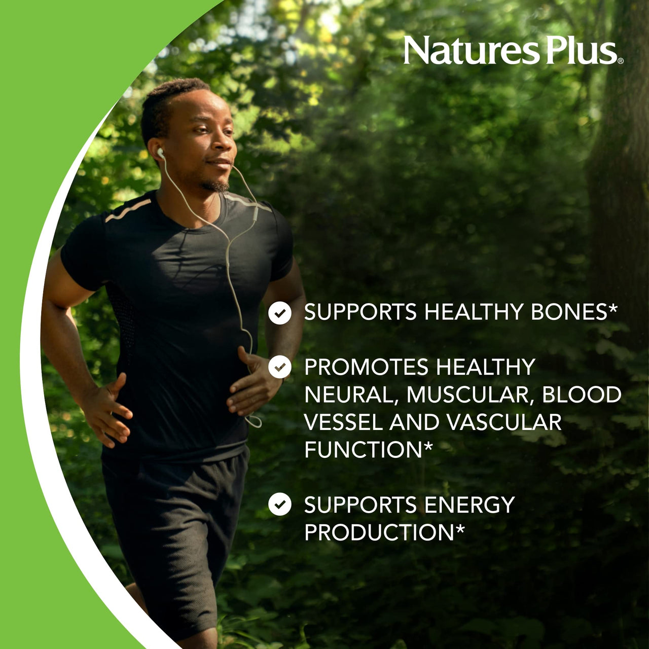 NaturesPlus Calcium/Magnesium 500 mg/250 mg - 180 Vegetarian Tablets - Promotes Bone Health & Energy Production - Gluten-Free - 180 Servings