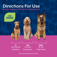 Thumbnail for NaturVet Bladder Support Plus Cranberry for Dogs, 60 ct Soft Chews, Made in The USA with Globally Source Ingredients