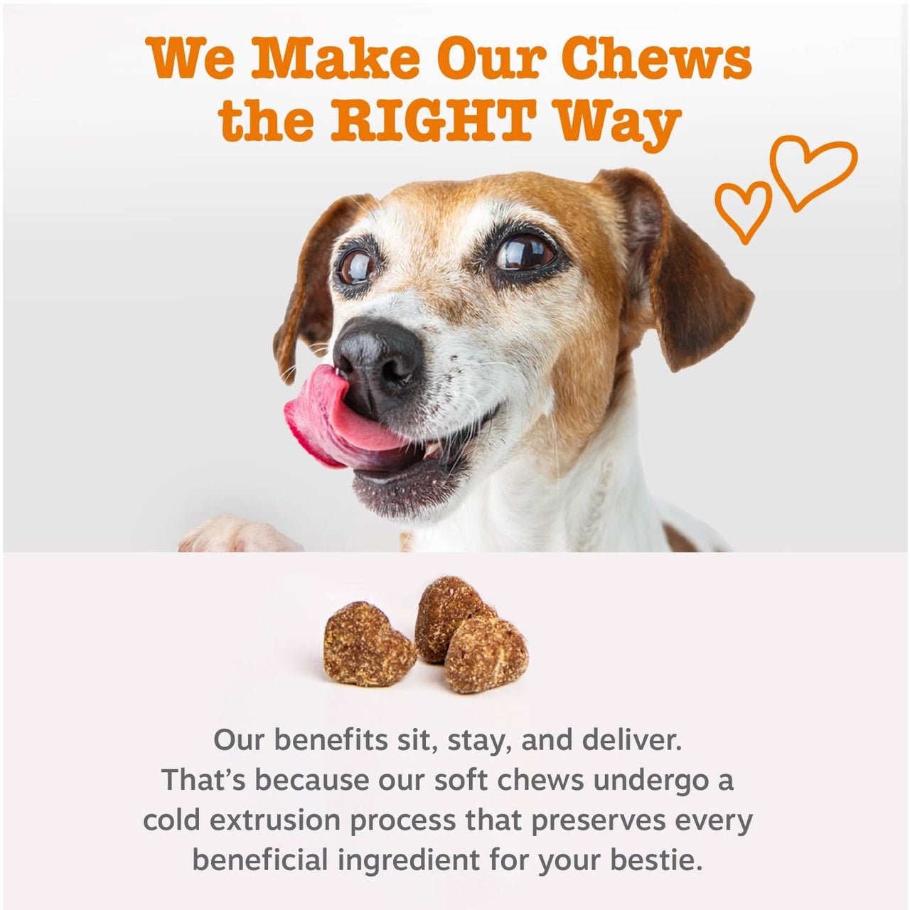 Zesty Paws Dog Allergy Relief Chews, Dog Probiotics for Itchy Skin and Ears, Peanut Butter, 90ct