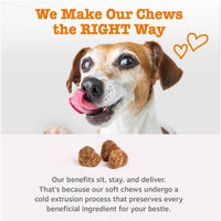 Thumbnail for Zesty Paws Dog Allergy Relief Chews, Dog Probiotics for Itchy Skin and Ears, Peanut Butter, 90ct