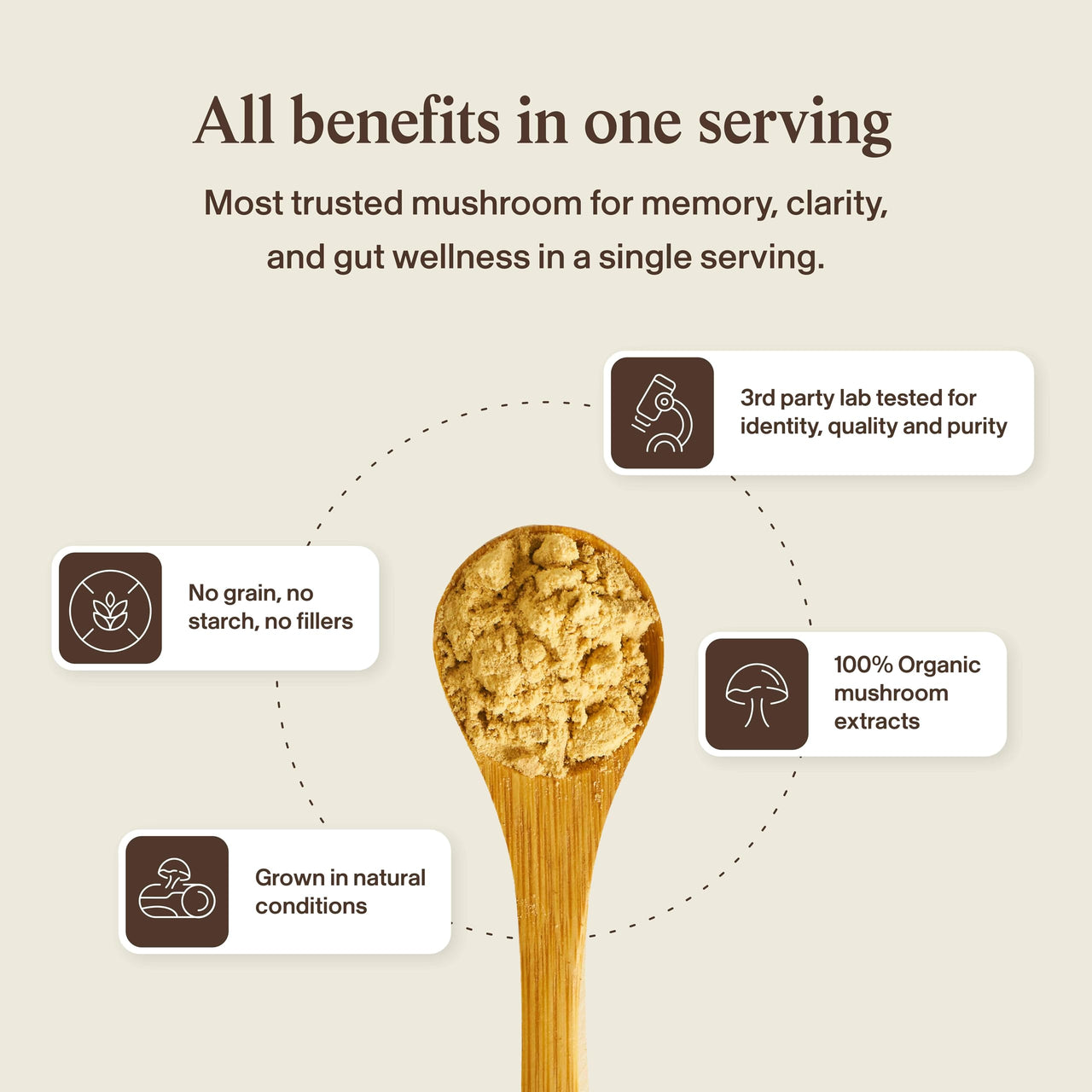 Real Mushrooms Lions Mane Mushroom Cognition (120 Capsules) Lions Mane Mushroom Powder Extract Capsules | Brain Supplement, Brain Vitamins, Focus Supplement