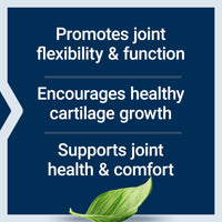 Thumbnail for Life Extension NT2 Collagen™, Joint Health Supplement for Joint Comfort & Mobility, Gluten-Free, Non-GMO, 1 Daily, 60 Small Capsules
