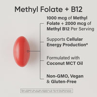 Thumbnail for Sports Research® Multivitamin Pack - Methyl Folate 1000 mcg + B12 2000 mcg, Vitamin D3 5000iu + K2 100mcg, and Alaskan Omega-3 Fish Oil 1250mg