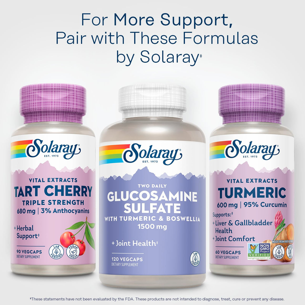 SOLARAY Turmeric Supplement 600mg - Turmeric Root with 95% Curcumin - Joint Support Supplement - Joint Health, Gallbladder and Liver Support, Non-GMO, Vegan, Gluten Free, 60-Day Guarantee, 60 Servings