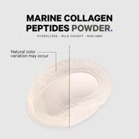 Thumbnail for Codeage Marine Collagen Powder - Wild-Caught Hydrolyzed Fish Collagen Peptides - Type 1 & 3 Collagen Protein Supplement - Amino Acids for Skin, Hair, Nails - Paleo Friendly, Non-GMO, 15.87 Ounces