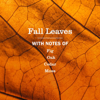 Thumbnail for MRS. MEYER'S CLEAN DAY Hand Soap, Fall Leaves Scent, 12.5 Fl Oz Bottle