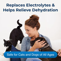 Thumbnail for PetAg Pet Pectillin Anti-Diarrheal - 4 oz - Helps Relieve Diarrhea or Loose Stool in Dogs and Cats - Replaces Lost Electrolytes - Easy to Administer