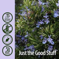 Thumbnail for Nature's Answer Rosemary Leaf with Organic Alcohol, 1-Fluid Ounce