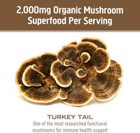 Thumbnail for Om Mushroom Superfood Turkey Tail Mushroom Capsules Superfood Supplement, 90 Count, 30 Days, Immune Support, Polysacchrides, Beta-Glucans, Gut Health & Holistic Defense Mushroom Supplement