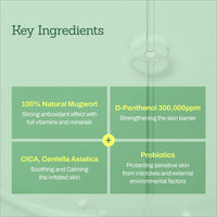 Thumbnail for MEDITHERAPY Mugwort D-Panthenol 30 Calming Serum, High Concentration for Skin Barrier & Deep Calming, Pure Ingredients, Korean Skincare 1.01 fl.oz