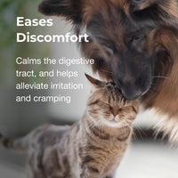 Thumbnail for PetAg Pet Pectillin Anti-Diarrheal - 4 oz - Helps Relieve Diarrhea or Loose Stool in Dogs and Cats - Replaces Lost Electrolytes - Easy to Administer