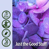 Thumbnail for Nature's Answer Hydrangea Root with Organic Alcohol, 1-Fluid Ounce