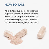 Thumbnail for The Wellness Company Spike Support - Detox, Immune Health, Blood Flow, Anti-Clotting - Nattokinase, Dandelion Root, & Black Sativa | 60ct (1 Month Supply)