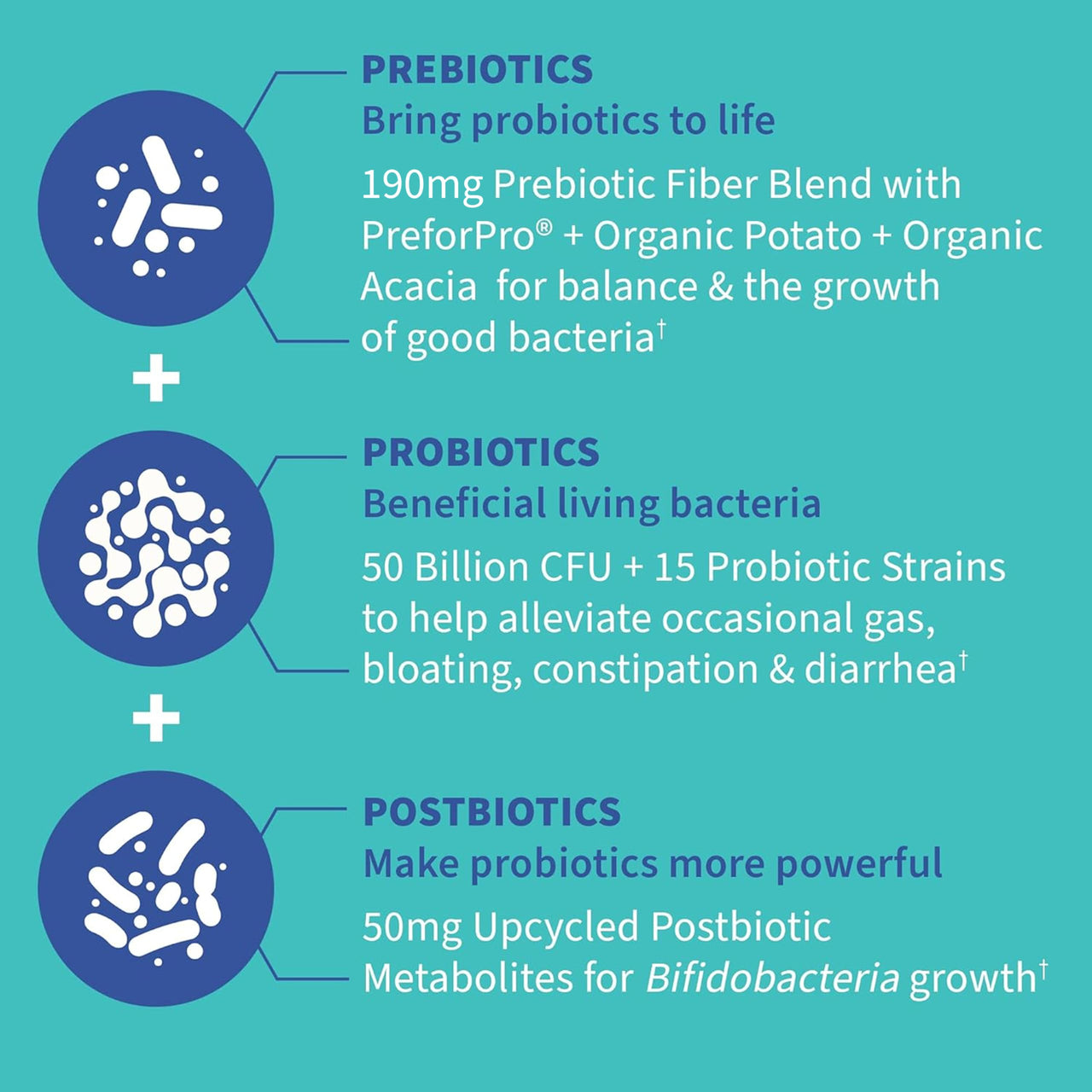 Garden of Life Dr. Formulated Pre, Post & Probiotics Gas & Bloating Once Daily 3-in-1 Complete Prebiotics, Postbiotics & Probiotics â€“ 50 Billion CFU, Non-GMO, Gluten-Free, 30 Day Supply