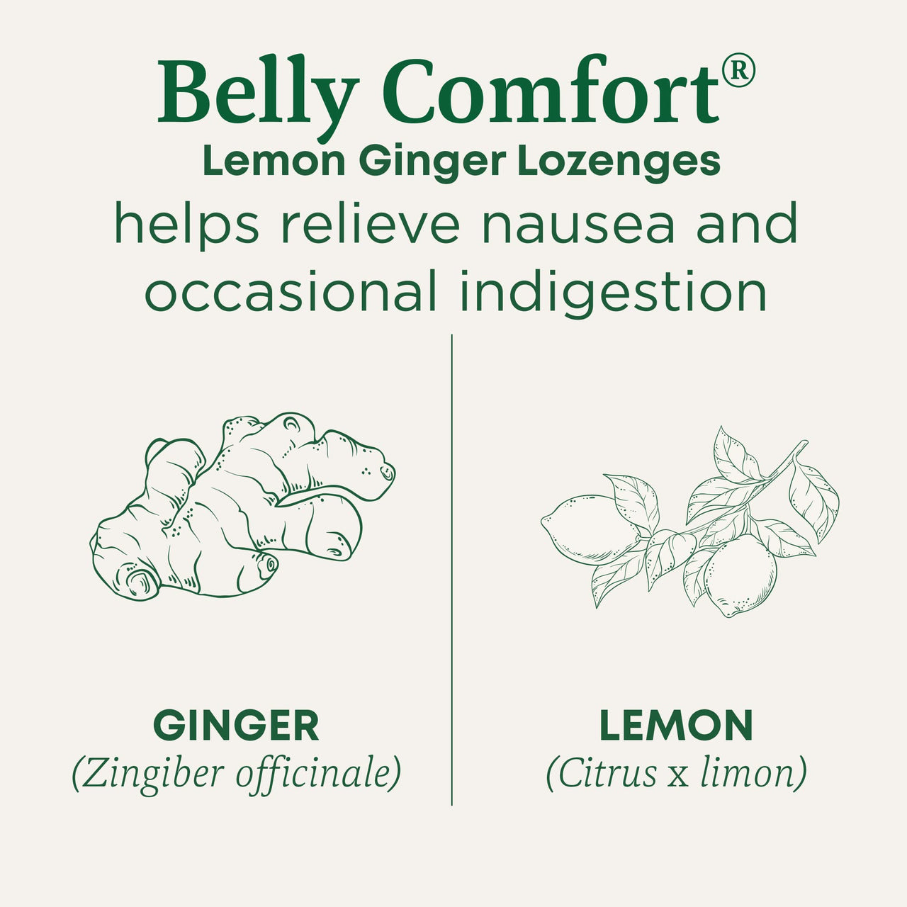 Traditional Medicinals Organic, Belly Comfort Lozenges, Lemon Ginger - Supports Nausea Relief and Occasional Indigestion - Non-GMO, Stimulant-Free - 30 Individually Wrapped Lozenges