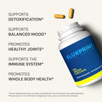 Thumbnail for Blueprint Bryan Johnson NAC Supplement - Promotes Stress Relief, Immune System Function, Respiratory Health - Includes N-Acetyl-L-Cysteine, Ginger, Curcuminoids - Detoxifying - Vegan (30 Servings)