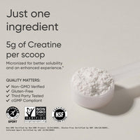 Thumbnail for Sports Research® Creatine Monohydrate - Gain Lean Muscle, Improve Performance and Strength and Support Workout Recovery* - 5 g Micronized Creatine, Fruit Punch Flavor - 25 Servings