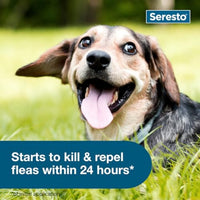 Thumbnail for Seresto Small Dog Vet-Recommended Flea & Tick Treatment & Prevention Collar for Dogs Under 18 lbs. | 8 Months Protection