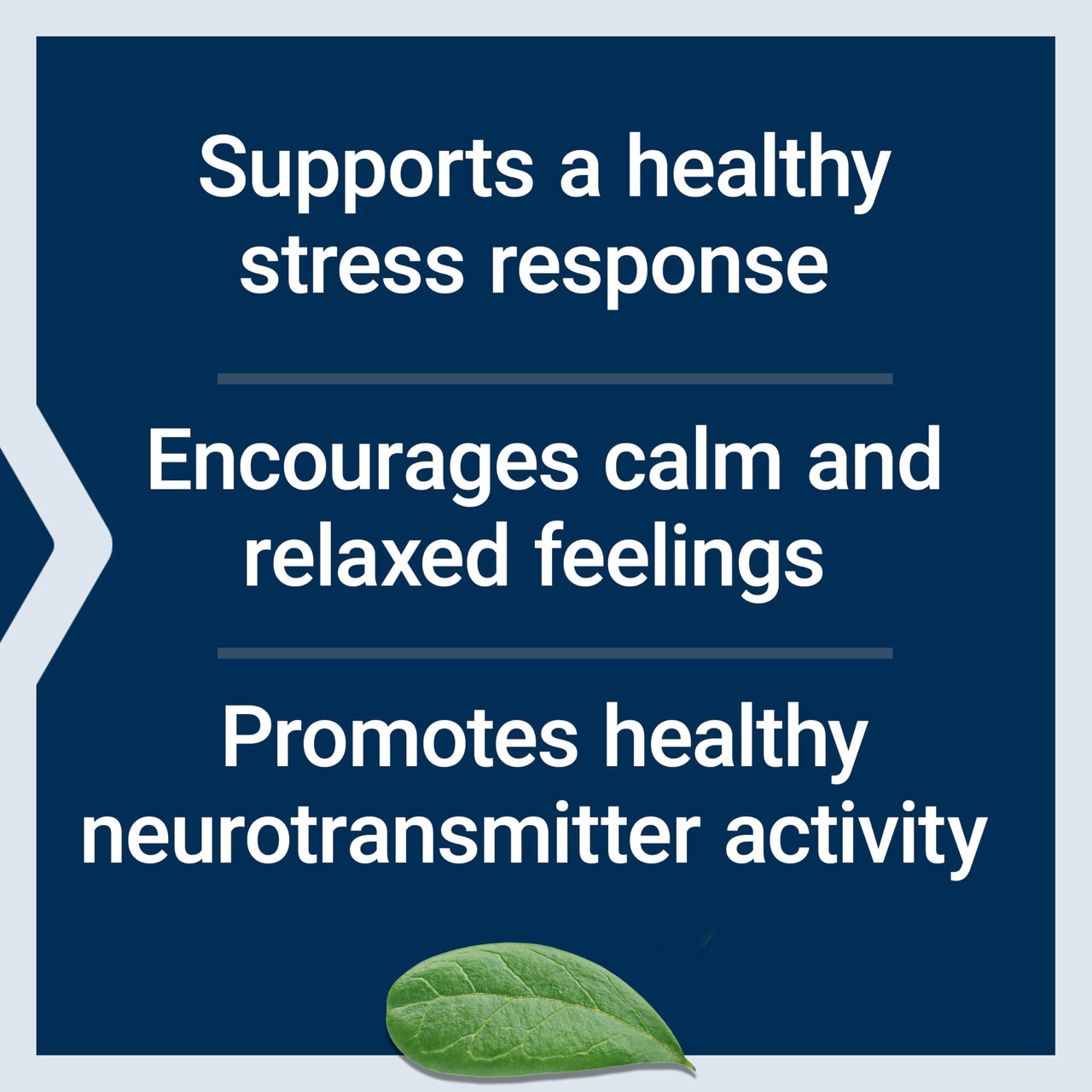 Life Extension Calm-Mag, Magnesium Acetyl taurinate, Daily Stress Management Formula, Supports Calmness and Relaxation, Gluten-Free, Non-GMO, Vegetarian, 30 Capsules