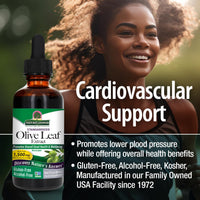 Thumbnail for Nature's Answer Olive Leaf Extract, Alcohol-Free, Non-GMO, Vegan, Gluten-Free, Made in USA, 2 Ounce | Olive Leaf Extract for Wellness