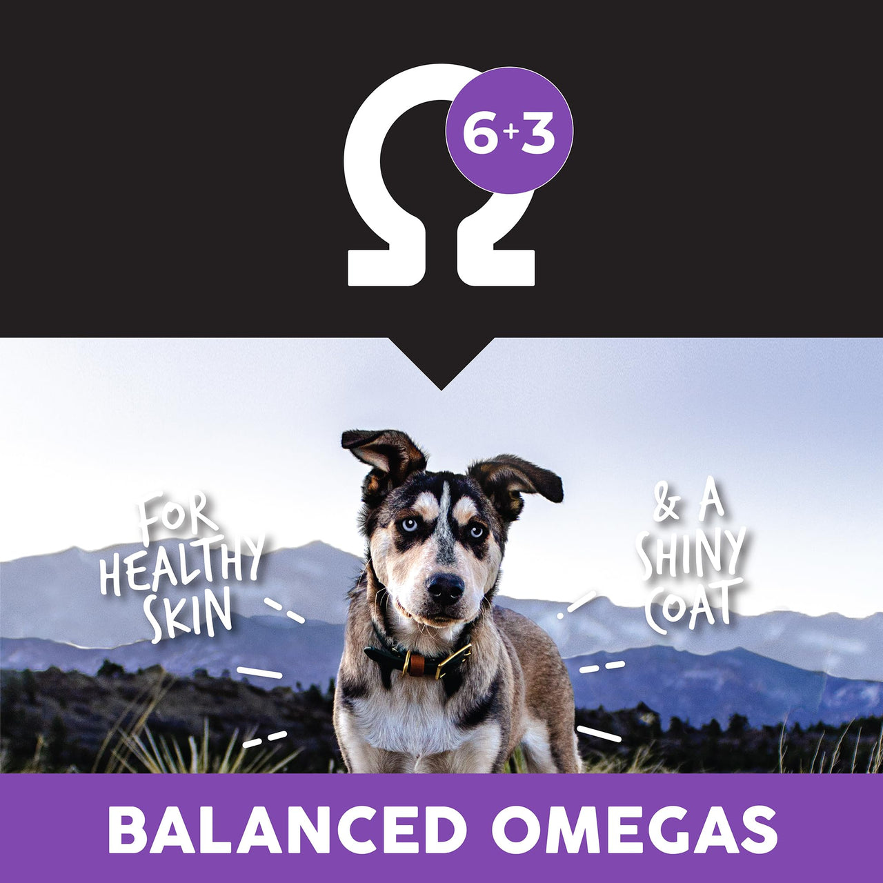 Ultimates Puppy Chicken Meal & Rice Dry Dog Food, 28 lb