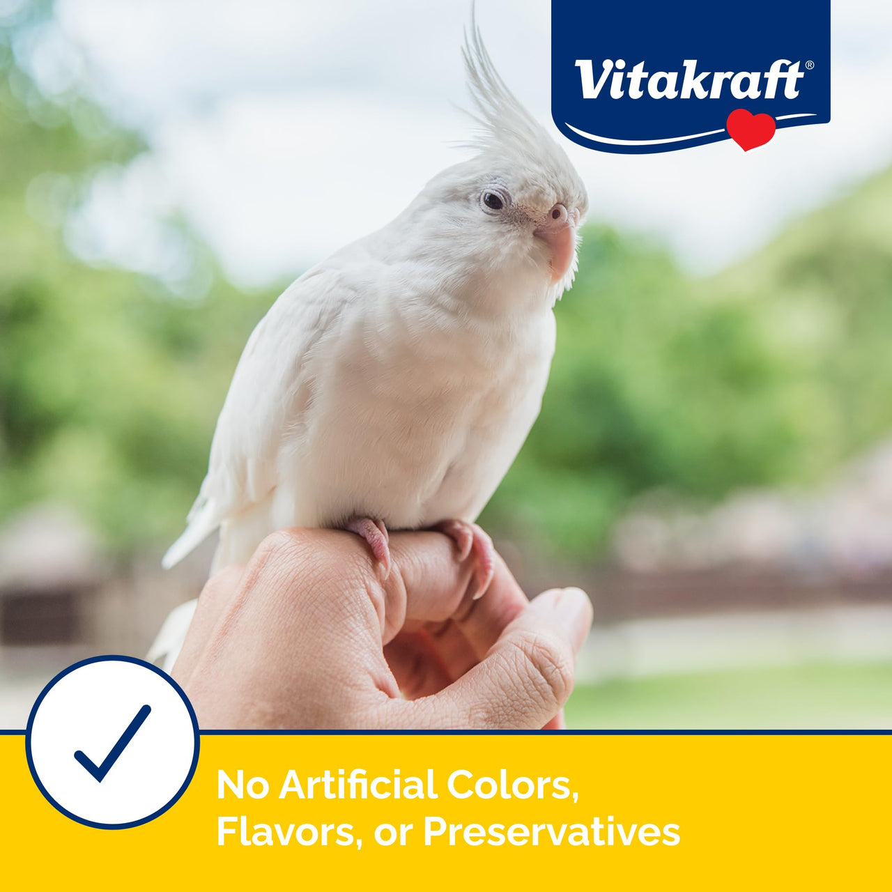 Vitakraft Mini-Pop Corn Cob Bird Treat 6 Ounce (Pack of 1)