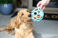 Thumbnail for JW Pet HOL-ee Roller™, Dog Toy Puzzle Ball, Natural Rubber, Large (5.5” Inch Diameter), Blue