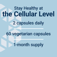 Thumbnail for Life Extension GEROPROTECT® Stem Cell, Promotes Healthy Cellular Renewal, kokum Extract, Trans-resveratrol, Gluten Free, Non-GMO, Vegetarian, 60 Capsules