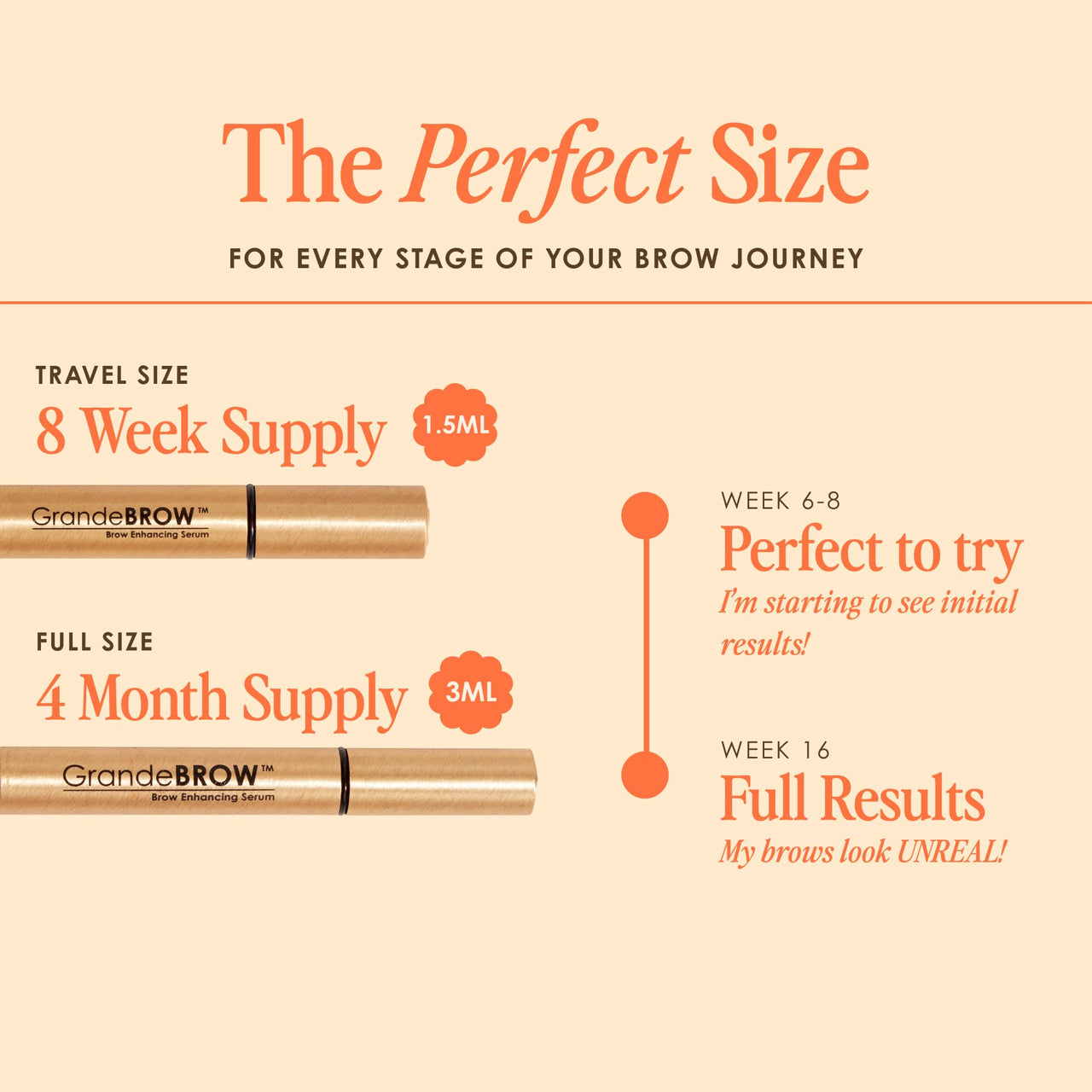 Grande Cosmetics GrandeBROW Brow Enhancing Serum for Fuller, Bolder, Looking Eyebrows - Brow Serum With Vitamins, Peptides, Antioxidants, Amino Acids, Cruelty Free - 4 Month Supply (3 mL)