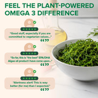 Thumbnail for Zenwise Health Vegan Omega 3 Supplement - Burpless Omega 3 Supplement with DHA, EPA & DPA Fatty Acids for Immune Health - Fish Oil Alternative from Sustainably Sourced Marine Algae Oil - 120 Softgels