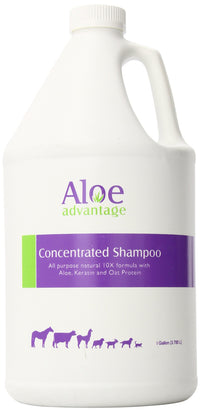 Thumbnail for Aloe Concentrated Shampoo 1 Gallon