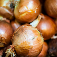 Thumbnail for Frontier Organic Chopped Onion, 1 Pound, Dried & Chopped Sweet Organic White Onion, Kosher, Sustainably Grown