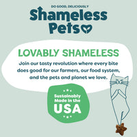 Thumbnail for Shameless Pets Crunchy Cat Snacks & Treats – Healthy Cat Treats for Indoor Cats & Kittens with Catnip, Real Chicken & Digestive Support, Catnip N Chill (2.5 oz)