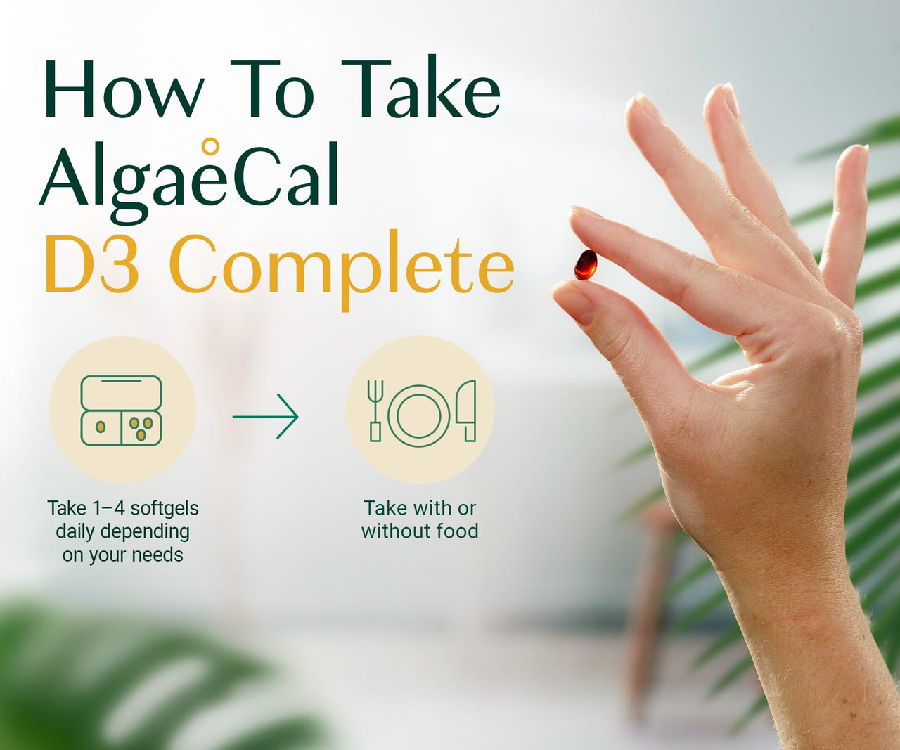 ALGAECAL Calcium, Vitamin D3 & Collagen Bundle – Hydrolyzed Collagen with Clinically-Supported Verisol, Fortibone & Fortigel, Plus Calcium, Vitamin ADEK, & Trace Minerals for Bone Health & Anti-Aging