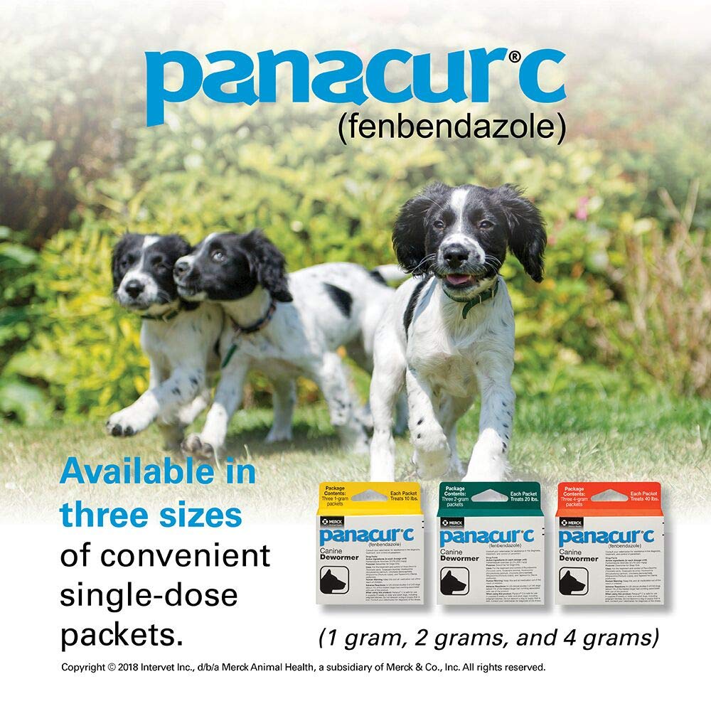 Panacur C Canine Dewormer (Fenbendazole), 4 Gram, 3 Count (Pack of 1), Red