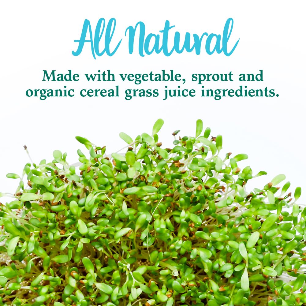 Garden of Life Perfect Food Super Green Formula - 60 Servings, 45 Superfoods, Greens, Fruit & Veggie Juice Superfood Powder Supplement, Probiotics & Organic Spirulina for Digestion & Immune Health