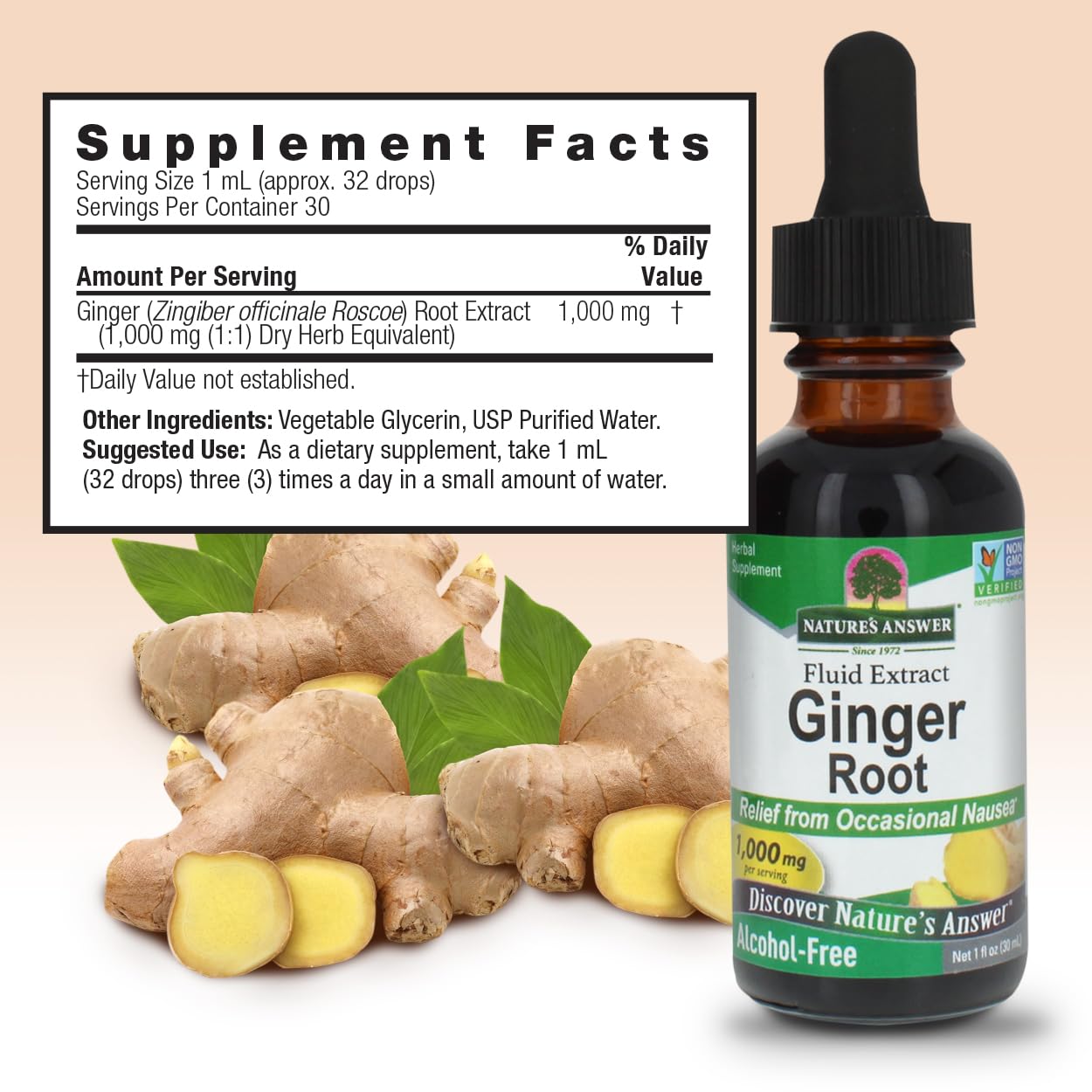 Nature's Answer Ginger Root Alcohol Free Extract 1 Ounce | Supports Stomach Function | Vegan | Vegetarian | Non-GMO | Gluten Free