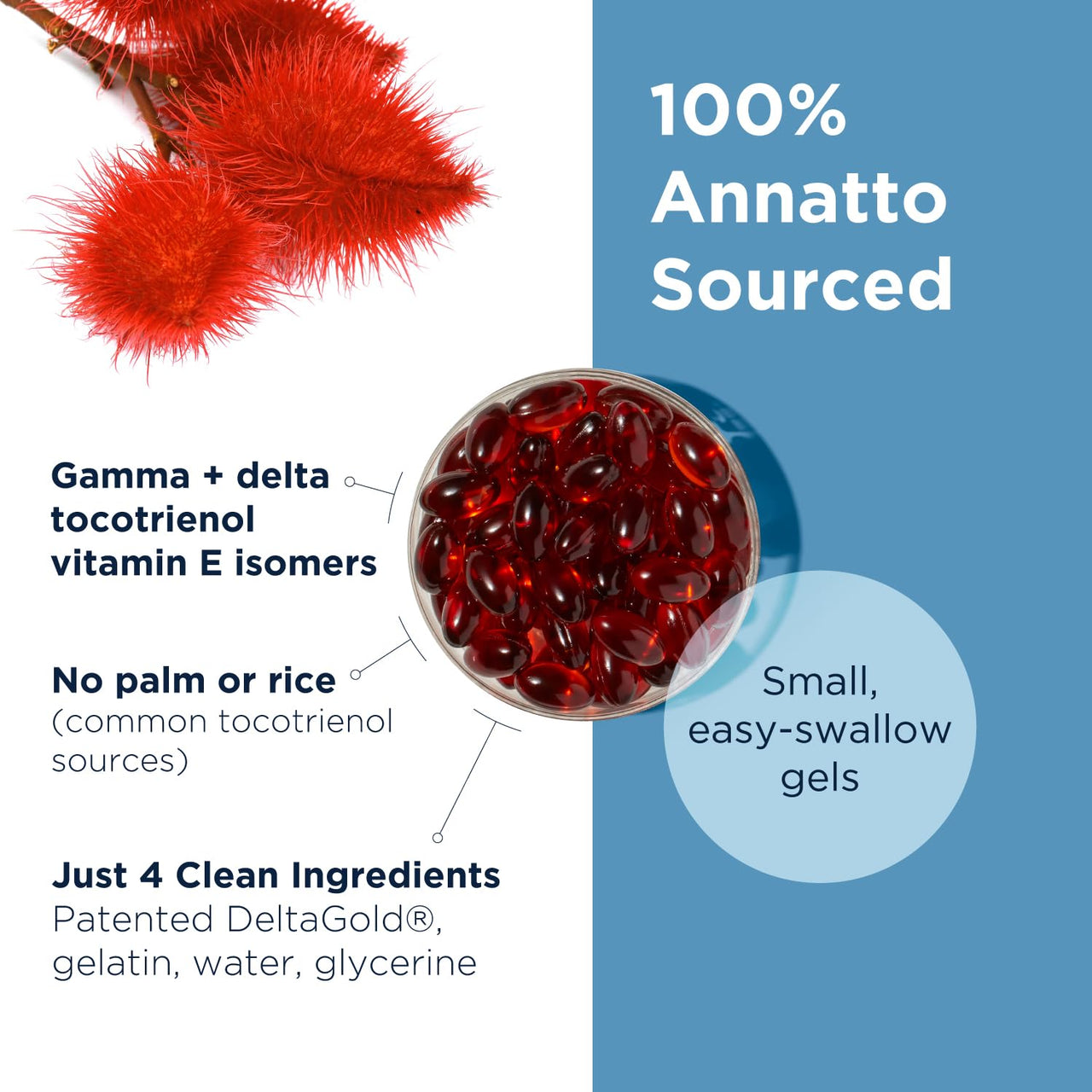 Designs for Health Annatto-E 150mg Tocotrienols - DeltaGold Vitamin E Complex Supplement with Delta + Gamma Tocotrienols - Cardiovascular, Healthy Aging + Antioxidant Support - Non-GMO (60 Softgels)