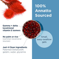 Thumbnail for Designs for Health Annatto-E 150mg Tocotrienols - DeltaGold Vitamin E Complex Supplement with Delta + Gamma Tocotrienols - Cardiovascular, Healthy Aging + Antioxidant Support - Non-GMO (60 Softgels)