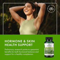 Thumbnail for Swanson Spearmint Leaf (Mentha Spicata) - Full Spectrum Herbal Supplement Supporting Digestive Health & Mild Stomach Issues - Natural Formula Supporting Health & Wellness - (60 Capsules, 400mg Each)