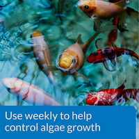 Thumbnail for API POND ALGAEFIX Algae Control 32-Ounce Bottle, FISHAQUARI (169G)