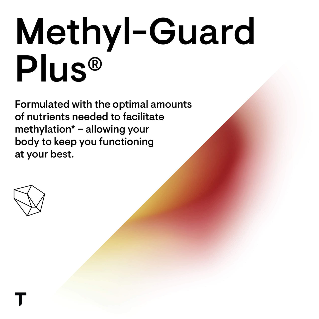 THORNE - Essential Wellness Trio - Methylation Support + Magnesium CitraMate + Vitamin D-5000-60 Servings