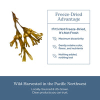 Thumbnail for Eclectic Herb - Premium Freeze-Dried Bladderwrack Capsules | Endocrine System Support | Healthy Skin and Hair | Seaweed Supplement | Wildcrafted, Hand-Harvested, Non-GMO, Vegan (90 CT | 600 mg)
