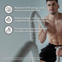 Thumbnail for NAKED Pea Protein Isolate (15 Servings) Pure Micronized Creatine Monohydrate 500g (100 Servings) – Plant-Based; Vegan; Bulk; Non-GMO; Gluten Free; Soy Free; Unflavored