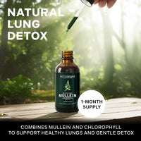 Thumbnail for Betterbrand Mullein Drops for Lung Detox - Mullein Leaf Tincture with Chlorophyll - Helps Support Respiratory Health, Alcohol-Free, 1 Month Supply - 60ml