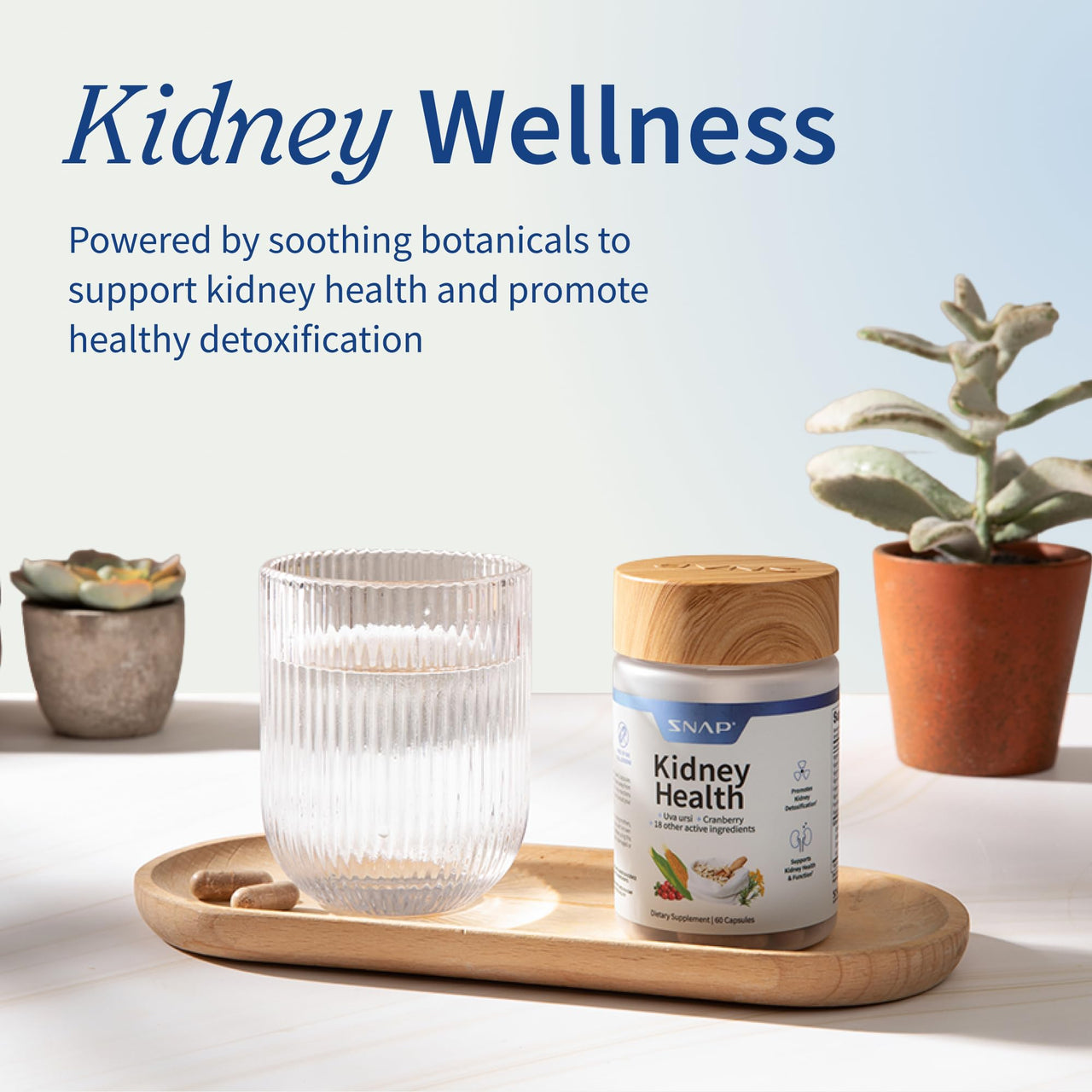 Snap Supplements Kidney Health Support Supplement - Kidney and Urinary Tract Health Support for Women and Men, 60 Vegetarian Capsules (30 Servings, 1 Month Supply)