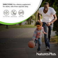 Thumbnail for Nature's Plus, BrainCeutix by NaturesPlus Boost Ginkgo Plus Brain Supplement for Memory and Focus, 90 Capsules