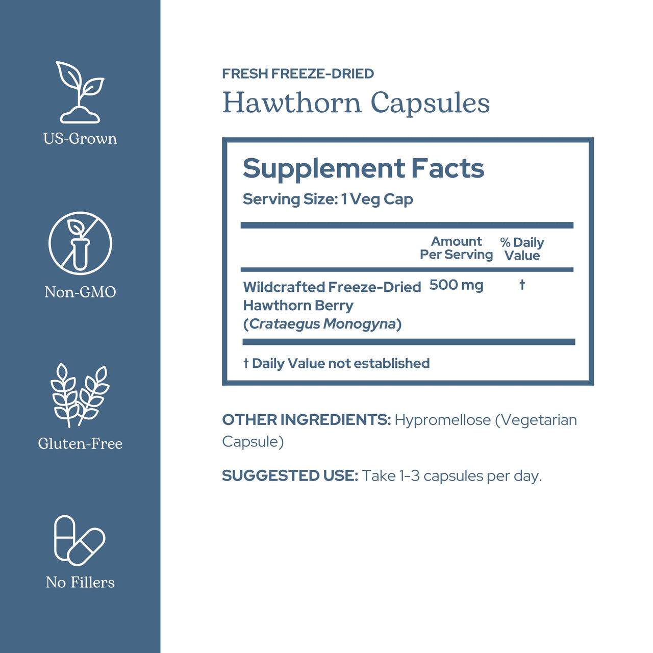 Eclectic Herb - Hawthorn Berry Capsules | Cardiovascular Support | Heart Health, Circulation & Digestion Support | US-Grown, Vegan, Non-GMO, Gluten Free (90 CT | 500 mg)
