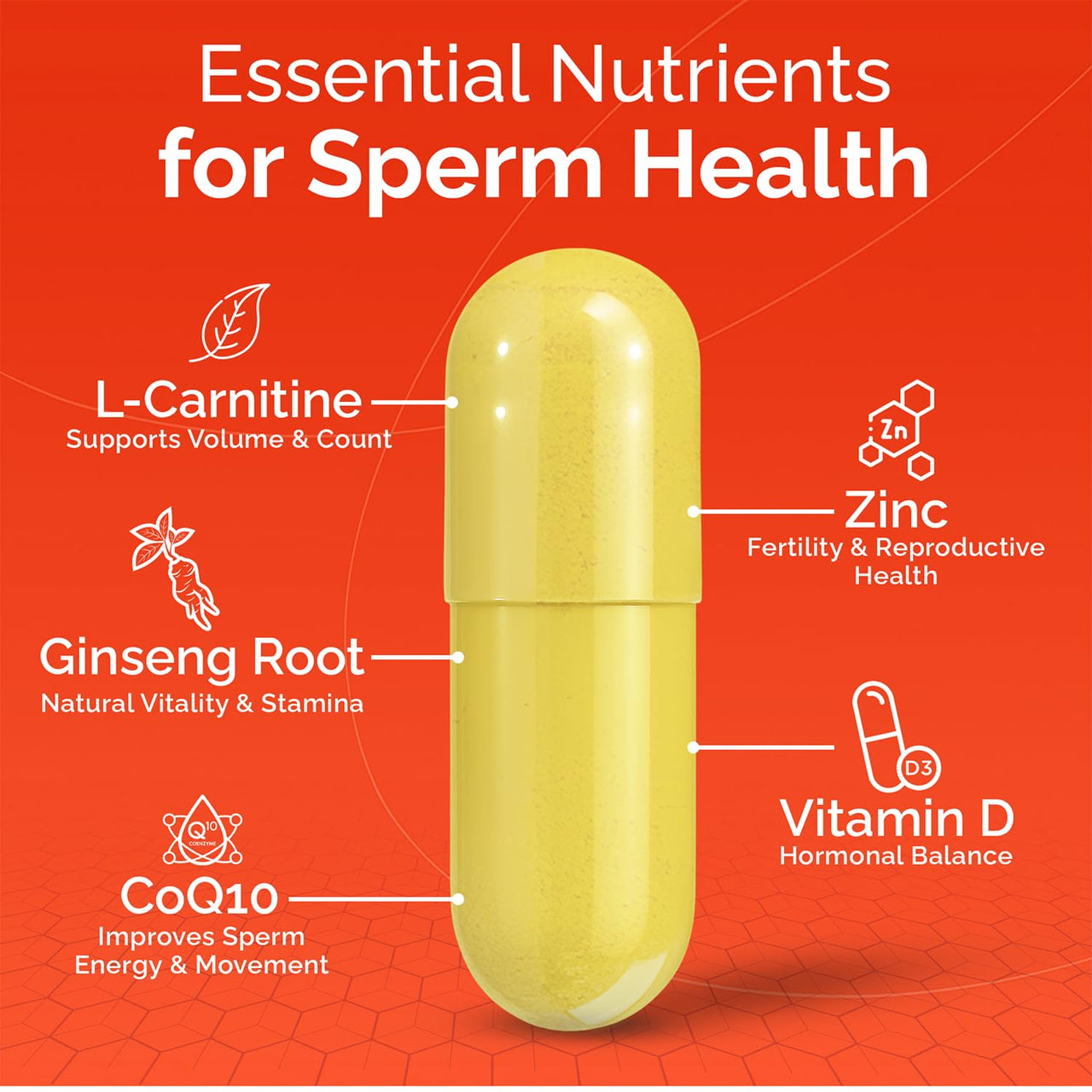 CONCEIVE PLUS Motility Support for Men | Boost Sperm Volume & Count | Spermidine Supplements with Vitamin D, E, Zinc, Antioxidants – Multivitamin Fertility Supplements for Men, 60 Caps