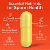 Thumbnail for CONCEIVE PLUS Motility Support for Men | Boost Sperm Volume & Count | Spermidine Supplements with Vitamin D, E, Zinc, Antioxidants – Multivitamin Fertility Supplements for Men, 60 Caps